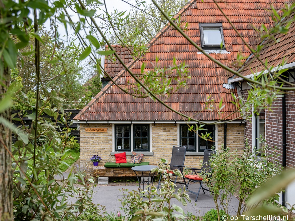 De Boschplaat, Online leren combineren met een heerlijke vakantie