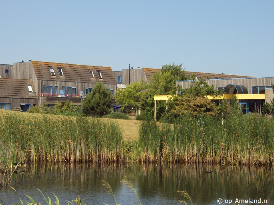 buitenaanzicht Duynhaas